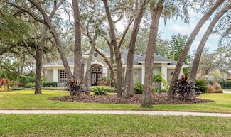 6017 Hammock Hill Ave, Lithia, FL 33547