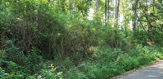 0 Treeline Dr Unit 1510684, Dunlap, TN 37327