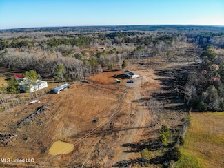 356 Permenter Rd, Carthage, MS 39051