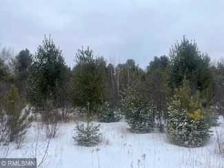 TBD Onigum Rd NW, Walker, MN 56484