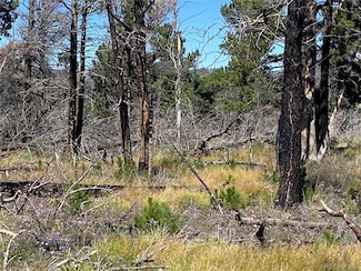 2249 Buonaventura Ln, Fort Garland, CO 81133