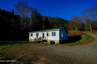 3.6 Mile Port St Nicholas Rd, Craig, AK 99921