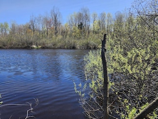 ON State Road 70, Loretta, WI 54896