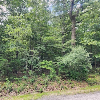 L-42, B-1 Saskatchewan Dr, Cherokee Village, AR 72529