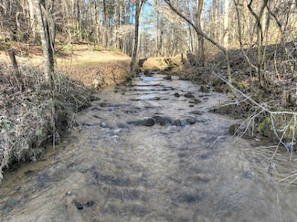 394 Cowboy Trail, Ellijay, GA 30540