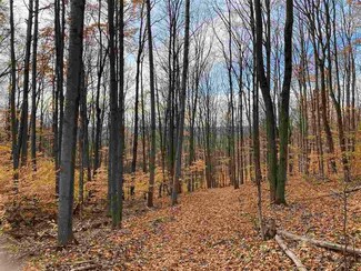 0000 Mt Vernon Hills Rd, Vanderbilt, MI 49730