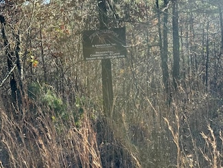 0 Polk County Road 14, Hatten, AR 00000