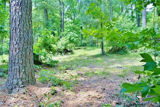 Lot 695 Lake Shore Dr, Coldspring, TX 77331