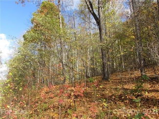 E- 13 Red Wolf Run None, Mars Hill, NC 28754