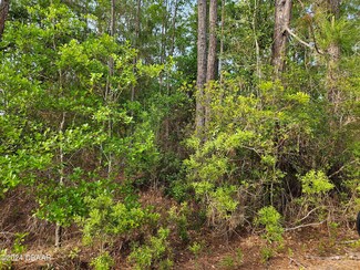 230 Hazel Ave, Georgetown Cove, FL 32139