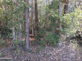 0 Camellia St, Kiln, MS 39556