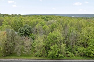 1195 Hinging Post Rd, Ulysses, NY 14850
