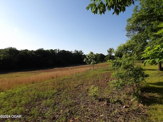 000 W Ivy Rd, Oronogo, MO 64855