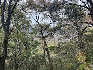 30 Ssr Dr, Pikeville, TN 37367