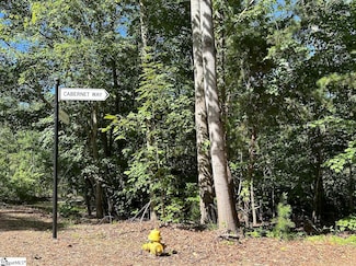 201 Cabernet Way, Travelers Rest, SC 29690