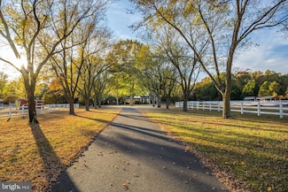 8942 Williams Mill Pond Rd, Delmar, MD 21875