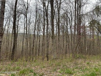 0 Apache Rd Lot 30&78, Jamestown, TN 38556