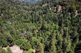 3430247 Mojave View Dr, Cedarpines Park, CA 92322