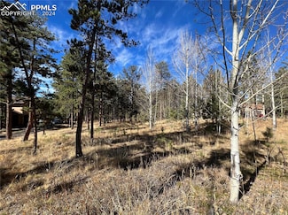 650 Pembrook Dr, Woodland Park, CO 80863