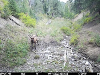 0 Tbd County Road 249 Unit 21070234, Rifle, CO 81650