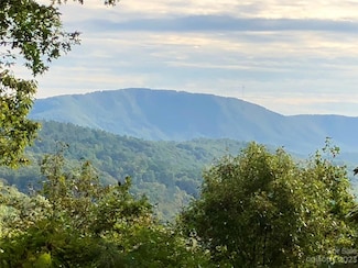 216 Bent Pine Trace Unit 174, Hendersonville, NC 28739