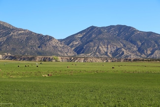 TBD County Road 233, Rifle, CO 81650