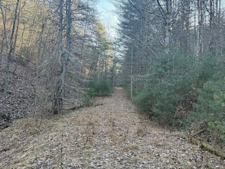 21 Acres Buck Hill Ln, Sugar Grove, WV 26815