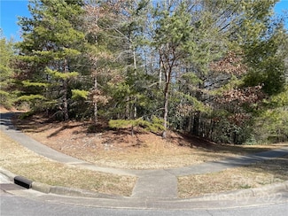 V30 Blueberry Hill Rd, Brevard, NC 28712