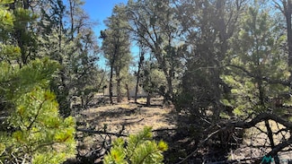 TBD Paradise Loop, Quemado, NM 87829