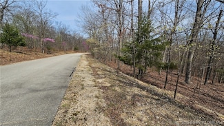 Lot #362 Lake Dr, Jasper Township, MO 65079