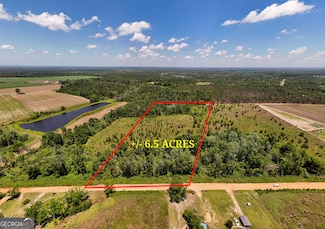 LOT #2 - 6.5 AC Perry Horton Rd, Adrian, GA 31002