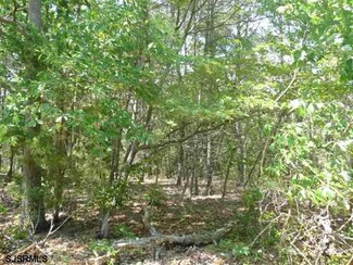 Shaws Shaws Mill Rd, Cedarville, NJ 08311