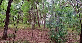 LOT 13 Evans Ave, Interlachen, FL 32148