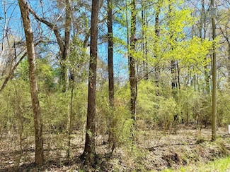 0 Camanche Rd Unit 2500638, McComb, MS 39648