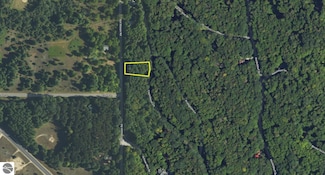 Lot 38 Courchevel Ln, Custer Township, MI 49615