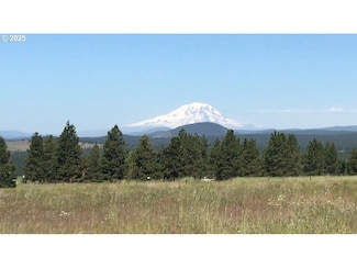0 Vogt Lot 3 Way Unit Lot 3, Goldendale, WA 98620