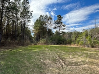 2897 Tuck Wilkes Rd Unit LotWP001, Noxapater, MS 39346