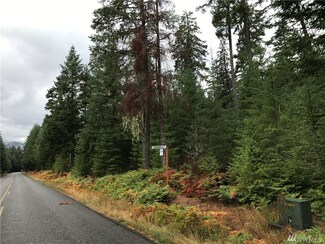 15 National Forest Rd Unit 52, Packwood, WA 98361