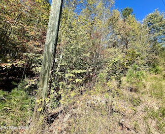 P 20.15 Creek Hollow Way, Sevierville, TN 37876