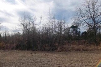 6420 Highway 95a N, Molino, FL 32577