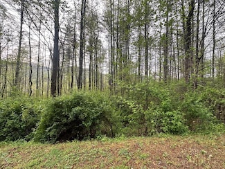 Lot 31 Cove at Flat Gap, Cullowhee, NC 28723