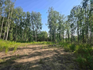 260 Brighton Dr, Farmers Loop, AK 99712