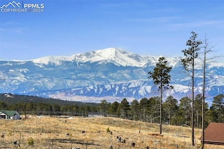 Lot 2 Forest Heights Cir, Colorado Springs, CO 80908