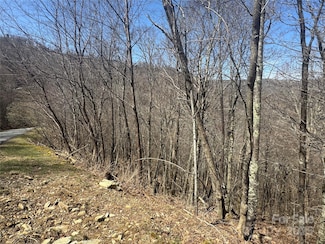53 & 55 Running Cedar Dr, Mars Hill, NC 28754