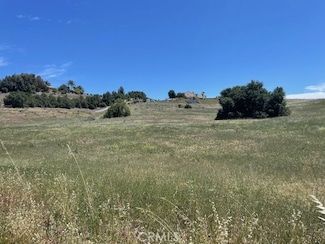 0 Granado Place Unit SW24161318, Temecula, CA 92590