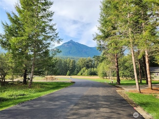 131 Campfire Ln, Packwood, WA 98361