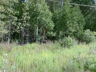 0 M-55 Unit 1-4 1903932, Tawas City, MI 48763