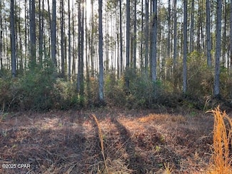12 Douglas Landing Rd, Wewahitchka, FL 32465
