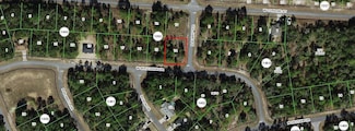 1975 W Shellbark Dr, Citrus Springs, FL 34434