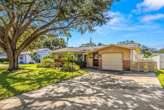 3125 San Bernadino St, Clearwater, FL 33759